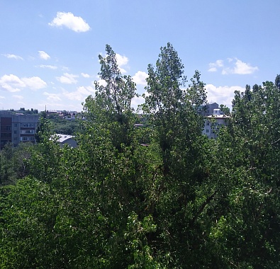 2-комн. кв. Центр