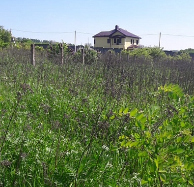 Земельный участок с. Татарка  ИЖС