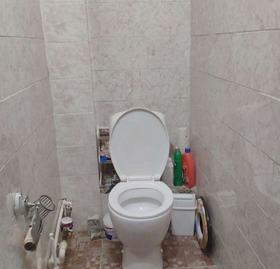 двухкомнатная Ботаника