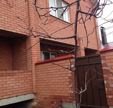 Дом  204 квартал дом в Ставрополе