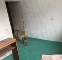 трехкомнатная Центр квартира в Ставрополе
